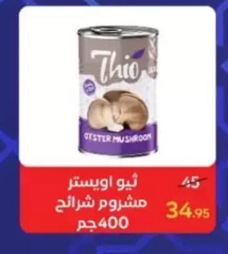 Mushroom available at Wekalet Elmansoura - Dakahlia  in Egypt - Cairo