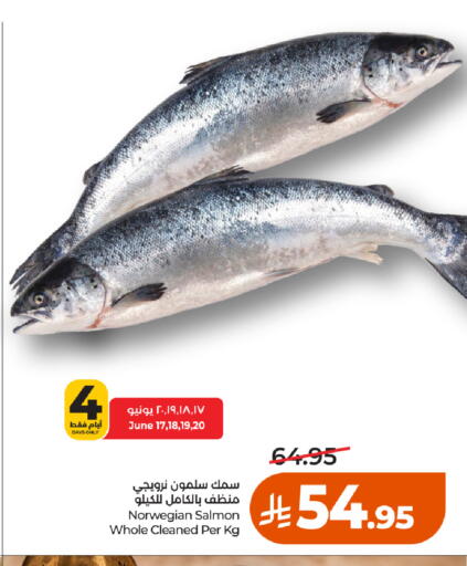 available at لولو هايبرماركت in مملكة العربية السعودية, السعودية, سعودية - تبوك