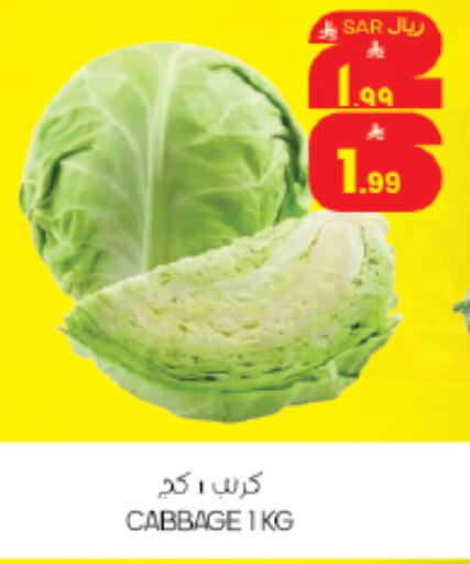 Cabbage available at City Flower in KSA, Saudi Arabia, Saudi - Riyadh
