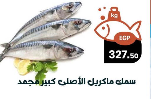available at Arafa Market in Egypt - Cairo