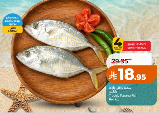 available at لولو هايبرماركت in مملكة العربية السعودية, السعودية, سعودية - حائل‎