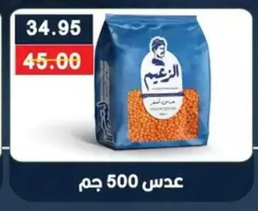 available at Bashayer hypermarket in Egypt - Cairo