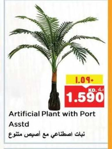 available at Nesto Hypermarkets in Kuwait - Kuwait City