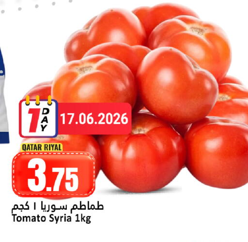 Tomato from Qatar Syria available at دانة هايبرماركت in قطر - الريان