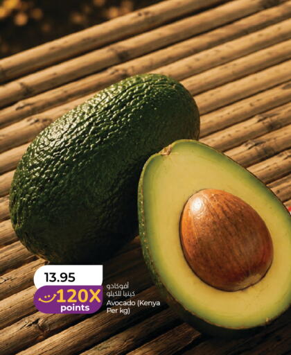 Avocado from Kenya available at لولو هايبرماركت in الإمارات العربية المتحدة , الامارات - أم القيوين‎