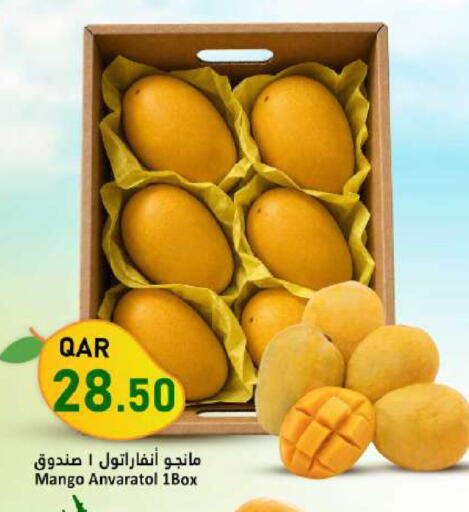 Mango available at Dana Market in Qatar - Doha