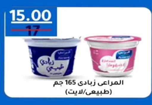 available at Wekalet Elmansoura - Dakahlia  in Egypt - Cairo