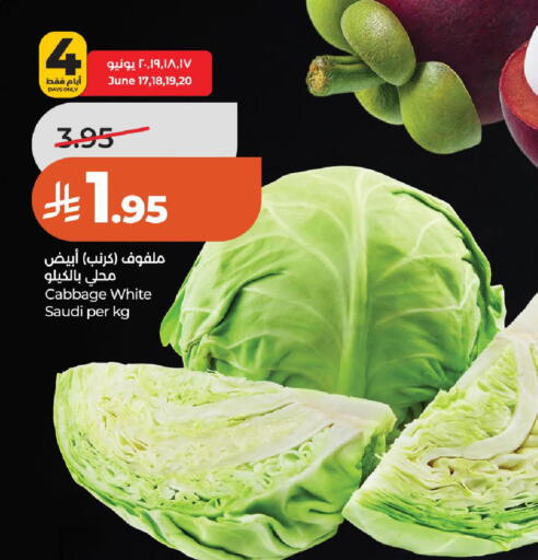 Cabbage from Saudi Arabia available at لولو هايبرماركت in مملكة العربية السعودية, السعودية, سعودية - عنيزة