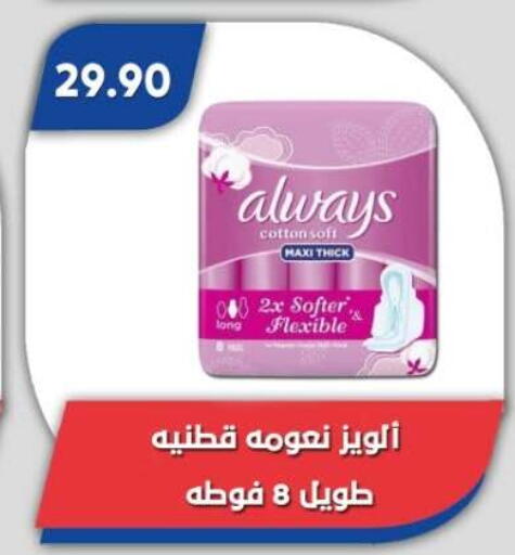 available at Bassem Market in Egypt - Cairo