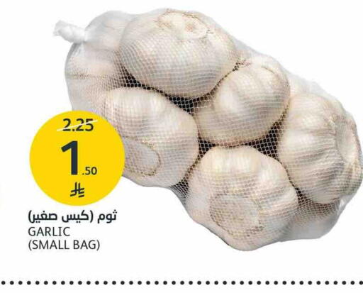 Garlic available at AlJazera Shopping Center in KSA, Saudi Arabia, Saudi - Riyadh