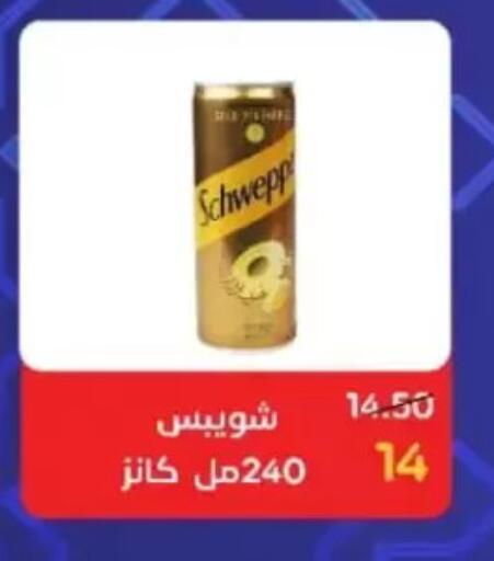 available at Wekalet Elmansoura - Dakahlia  in Egypt - Cairo
