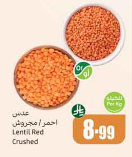 available at أسواق عبد الله العثيم in مملكة العربية السعودية, السعودية, سعودية - المدينة المنورة