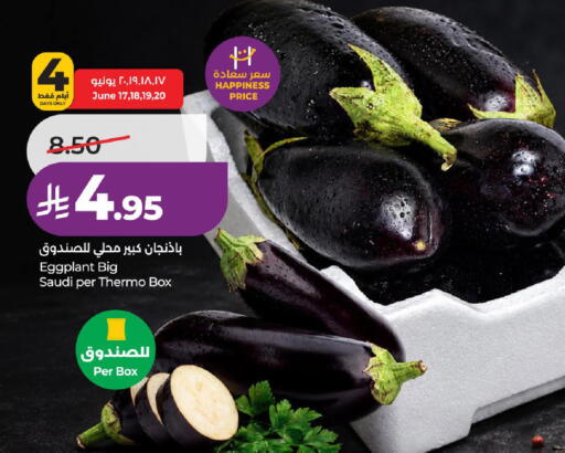 Eggplant from Saudi Arabia available at لولو هايبرماركت in مملكة العربية السعودية, السعودية, سعودية - عنيزة