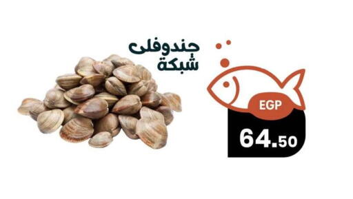 available at Arafa Market in Egypt - Cairo