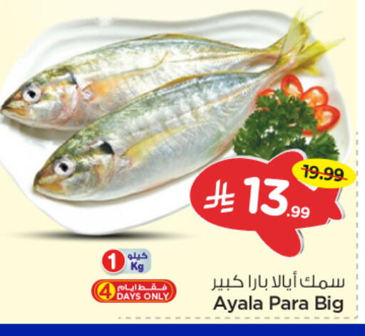 available at Nesto in KSA, Saudi Arabia, Saudi - Riyadh