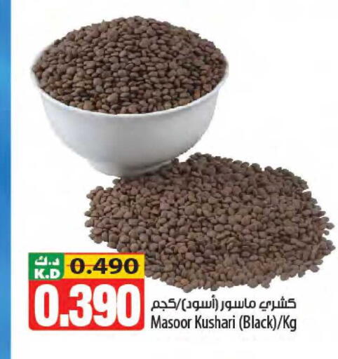 Mango available at Mango Hypermarket  in Kuwait - Kuwait City