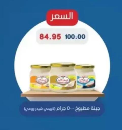 available at Bashayer hypermarket in Egypt - Cairo