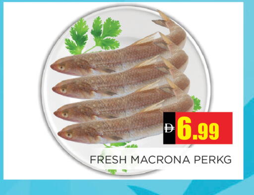 available at اينس المدينة هايبرماركت in الإمارات العربية المتحدة , الامارات - الشارقة / عجمان
