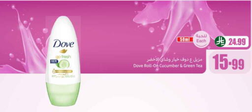 Cucumber available at Othaim Markets in KSA, Saudi Arabia, Saudi - Ta'if