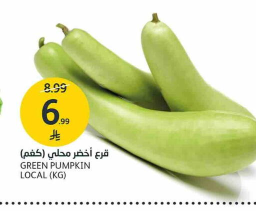 Pumpkin available at AlJazera Shopping Center in KSA, Saudi Arabia, Saudi - Riyadh