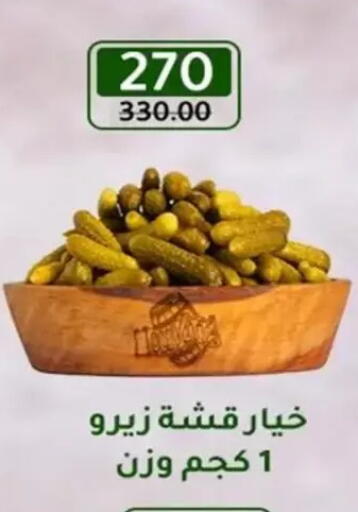 available at Wekalet Elmansoura - Dakahlia  in Egypt - Cairo