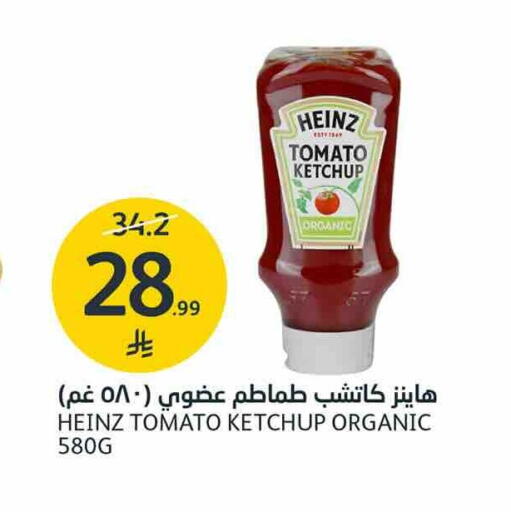 Tomato available at AlJazera Shopping Center in KSA, Saudi Arabia, Saudi - Riyadh