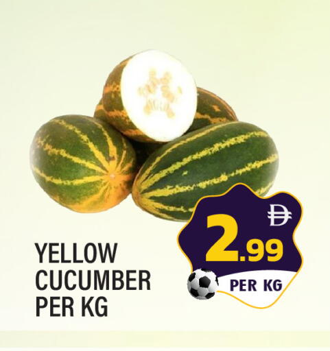 Cucumber available at دريم لاند in الإمارات العربية المتحدة , الامارات - الشارقة / عجمان
