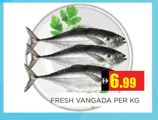 available at اينس المدينة هايبرماركت in الإمارات العربية المتحدة , الامارات - الشارقة / عجمان