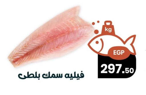 available at Arafa Market in Egypt - Cairo
