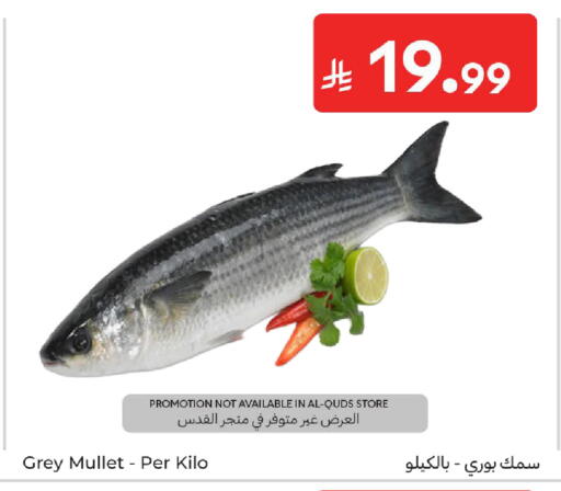 available at Carrefour in KSA, Saudi Arabia, Saudi - Al Khobar