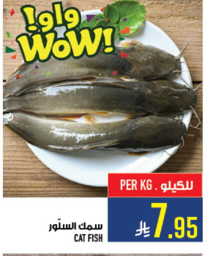 available at Abraj Hypermarket in KSA, Saudi Arabia, Saudi - Mecca