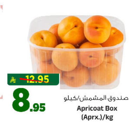 available at المدينة هايبرماركت in مملكة العربية السعودية, السعودية, سعودية - الرياض
