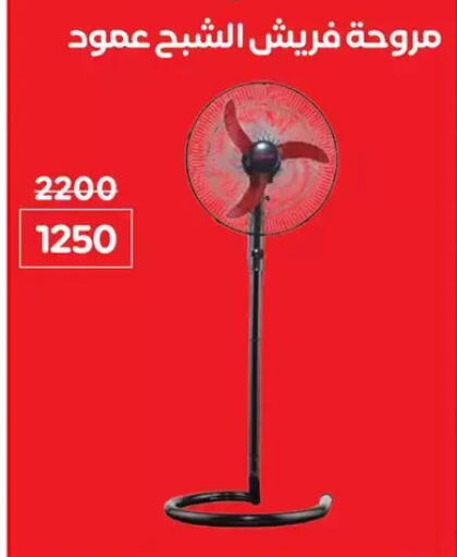 available at Wekalet Elmansoura - Dakahlia  in Egypt - Cairo
