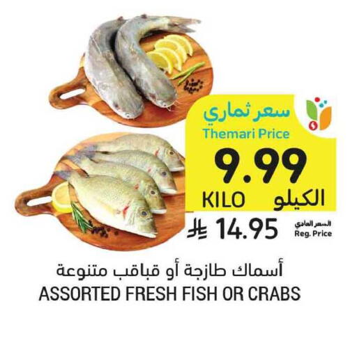 available at أسواق التميمي in مملكة العربية السعودية, السعودية, سعودية - المدينة المنورة