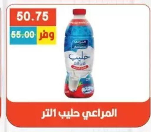 available at Bashayer hypermarket in Egypt - Cairo