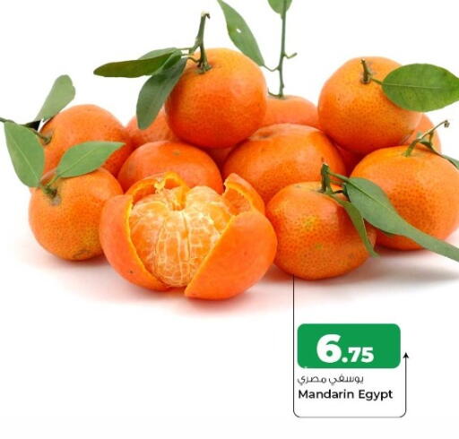 Mandarin from Egypt available at Rawabi Hypermarket in Qatar - Al Khor