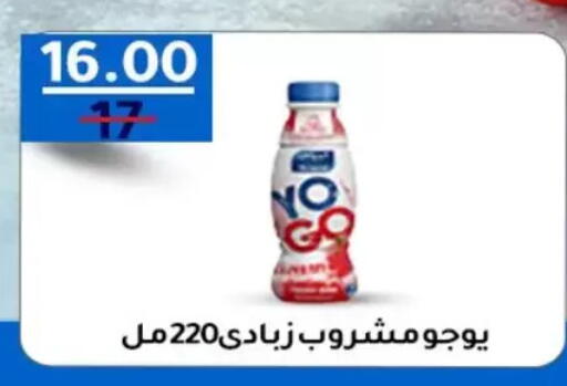 available at Wekalet Elmansoura - Dakahlia  in Egypt - Cairo