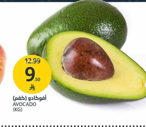 Avocado available at AlJazera Shopping Center in KSA, Saudi Arabia, Saudi - Riyadh