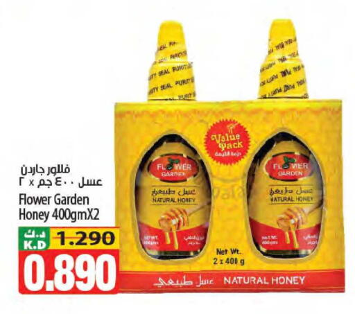 Mango available at Mango Hypermarket  in Kuwait - Kuwait City