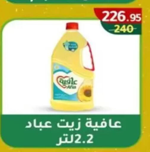 available at Wekalet Elmansoura - Dakahlia  in Egypt - Cairo