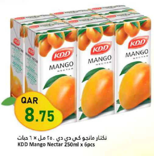 Mango available at Dana Market in Qatar - Al Shamal