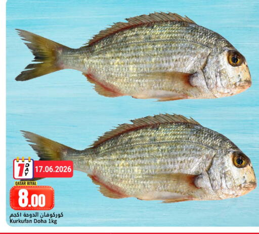 available at Dana Hypermarket in Qatar - Al Shamal