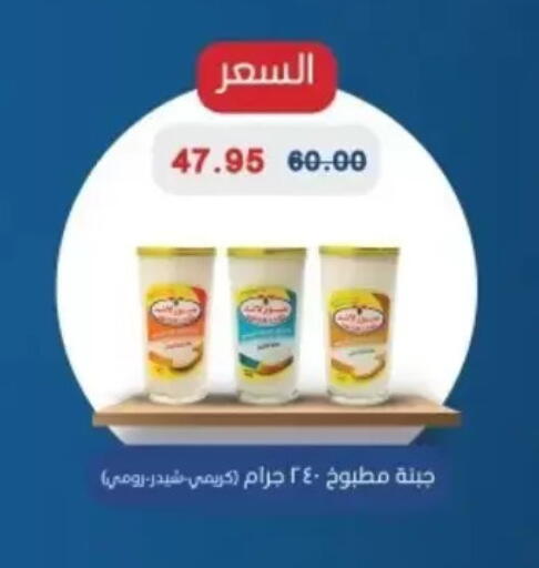 available at Bashayer hypermarket in Egypt - Cairo