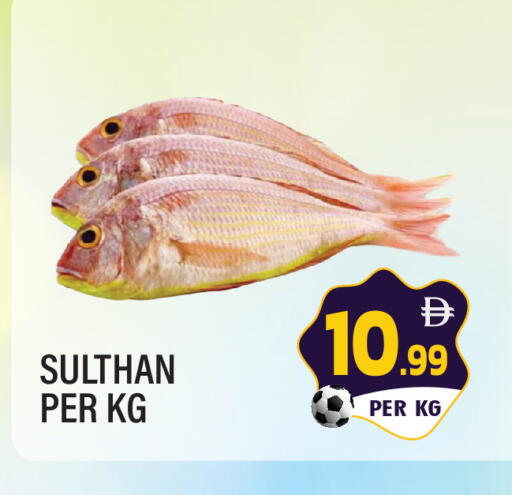 available at Dream Land in UAE - Sharjah / Ajman