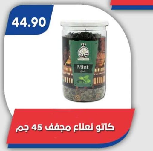 Mint available at Bassem Market in Egypt - Cairo
