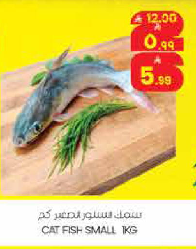 available at ستي فلاور in مملكة العربية السعودية, السعودية, سعودية - الجبيل‎