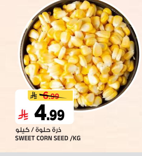 available at المدينة هايبرماركت in مملكة العربية السعودية, السعودية, سعودية - الرياض