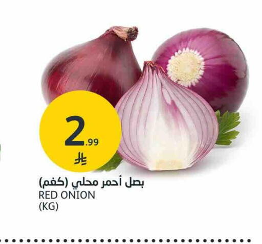 Onion available at AlJazera Shopping Center in KSA, Saudi Arabia, Saudi - Riyadh