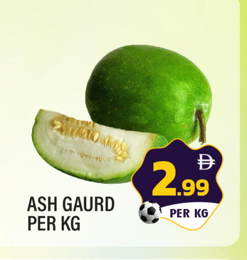 available at دريم لاند in الإمارات العربية المتحدة , الامارات - الشارقة / عجمان