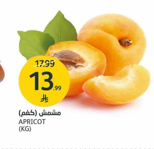 Apricot available at AlJazera Shopping Center in KSA, Saudi Arabia, Saudi - Riyadh